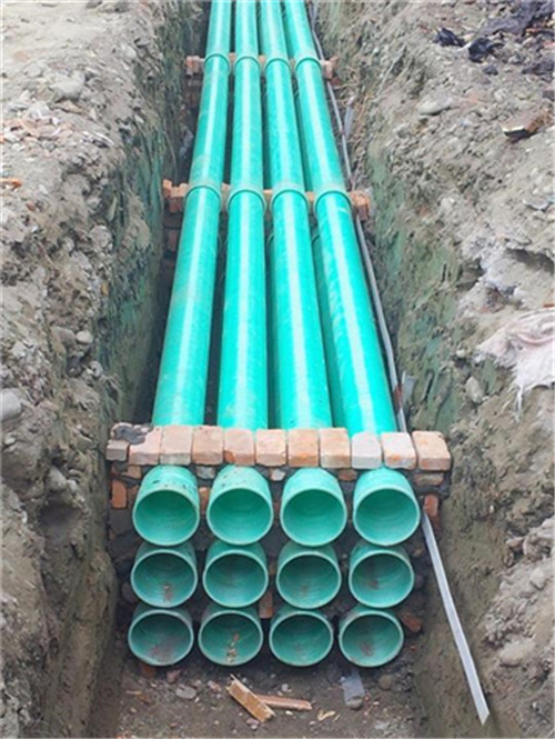 ���������Ź܏S��